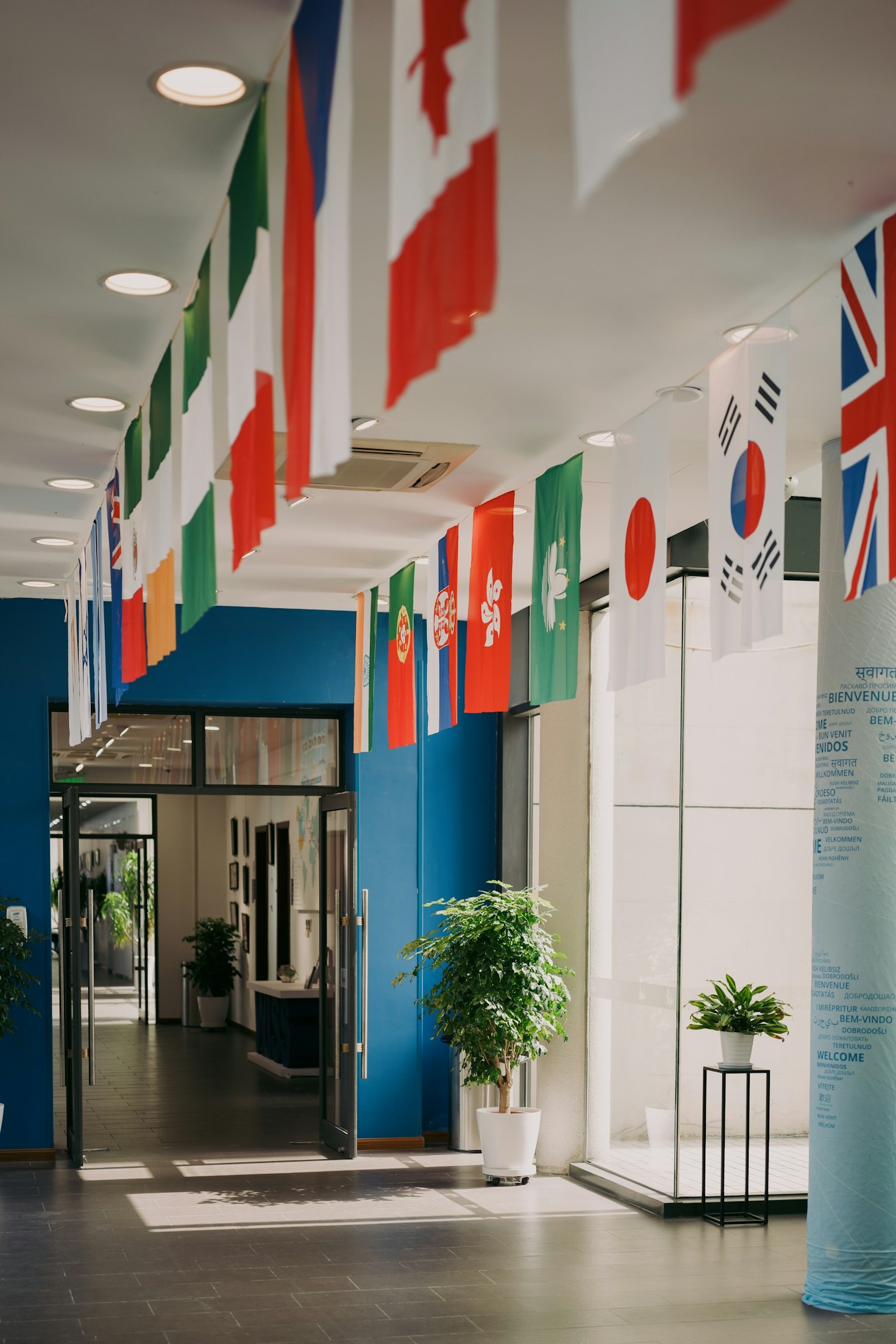 Bridging Cultures: The Power of International Dialogue